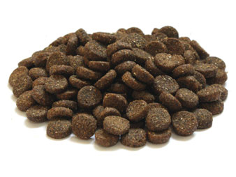 Dry food for active dogs