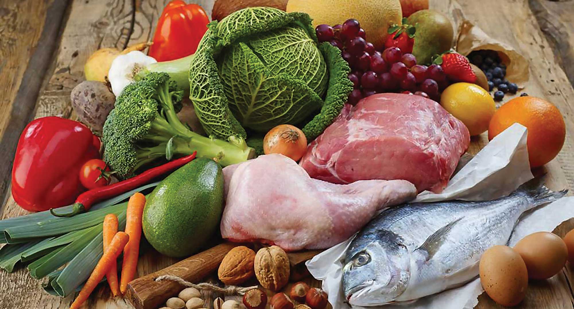 Azienda Vincent Pet Food Crocchette per cani e gatti