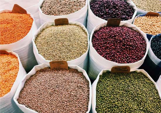 Legumes