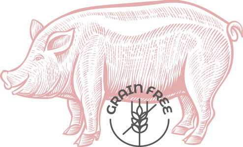 Benefits of monoprotein pork pet food