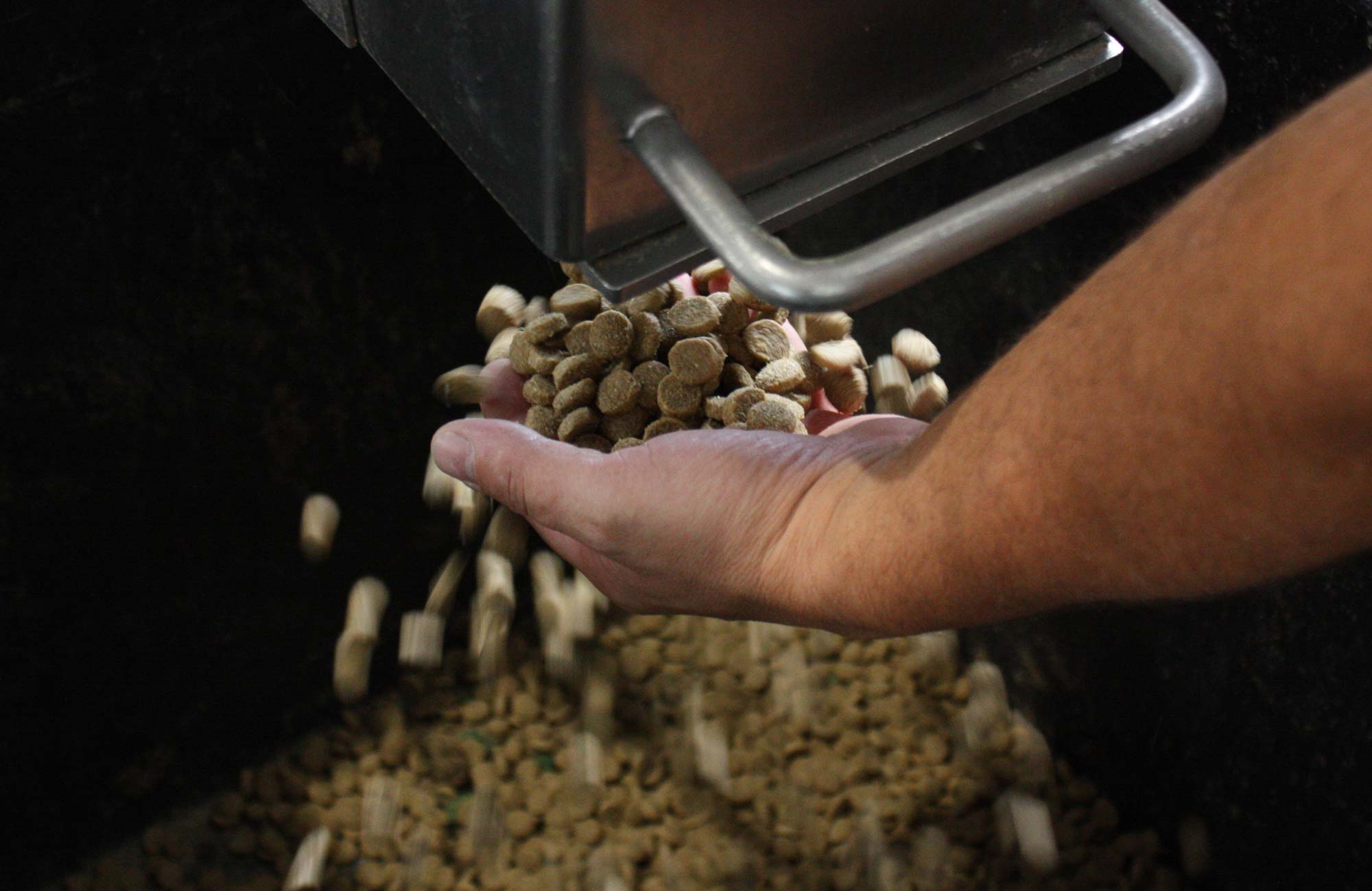 Lavora con noi Vincent Pet Food