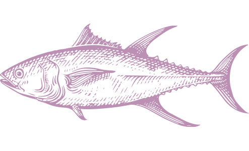 Beneficios del alimento monoproteico de atún para mascotas